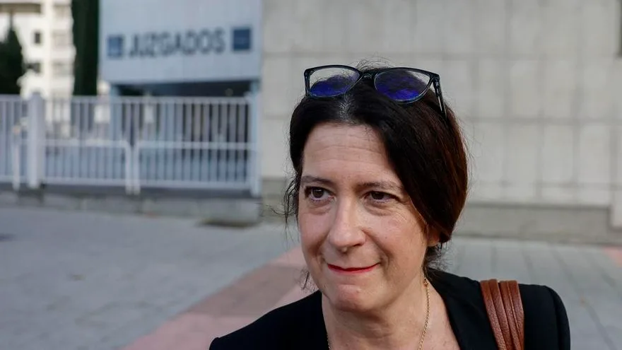 El PP pide a Pedraz que investigue al PSOE como persona jurídica en el caso Leire Díez