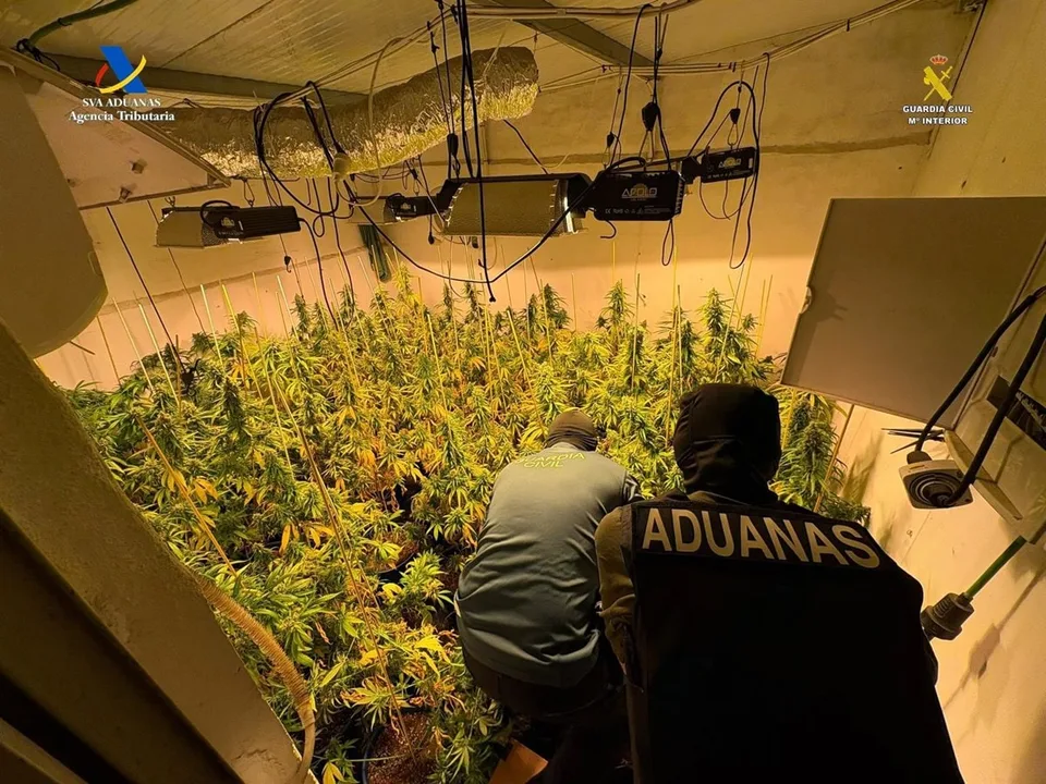 Fotografía auténtica de una plantación interior de marihuana desmantelada en Osuna por Vigilancia Aduanera y Guardia Civil.