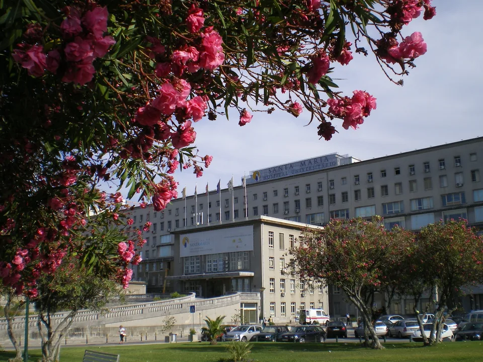 Exterior real del Hospital de Santa Maria en Lisboa, fotografía de archivo