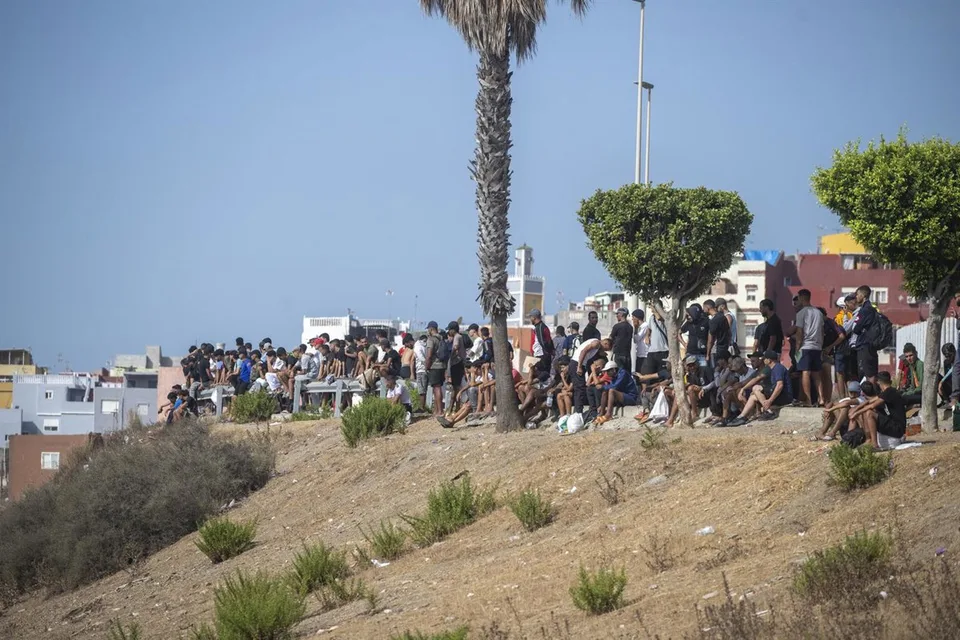 Grupo numeroso de personas reunidas en una ladera urbana junto a palmeras y edificios de una ciudad costera.