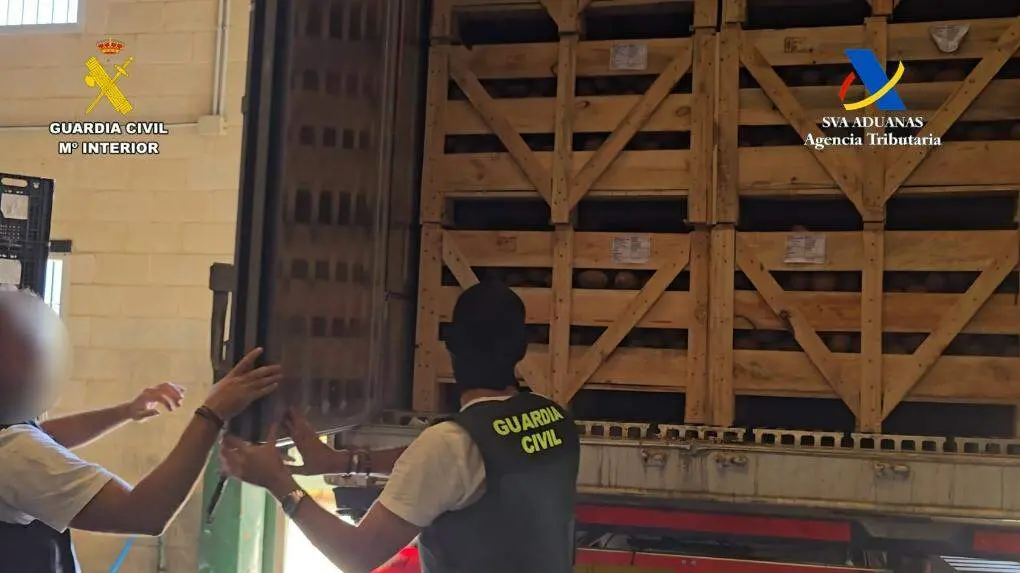 1.238 kilos entre cocos: la cocaína vuelve a mostrar cómo se camufla dentro de la logística legal en Andalucía